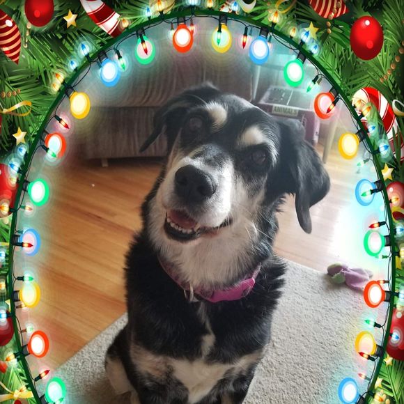 Meet your Posher, Cathy - Picture 1 of 1